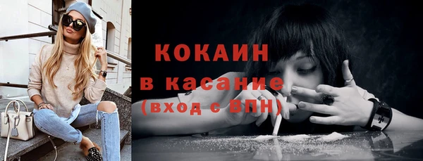 ГАЛЛЮЦИНОГЕННЫЕ ГРИБЫ Щучье